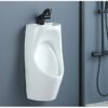 EcoFlow Sink-Integrated Water-Saving Urinal