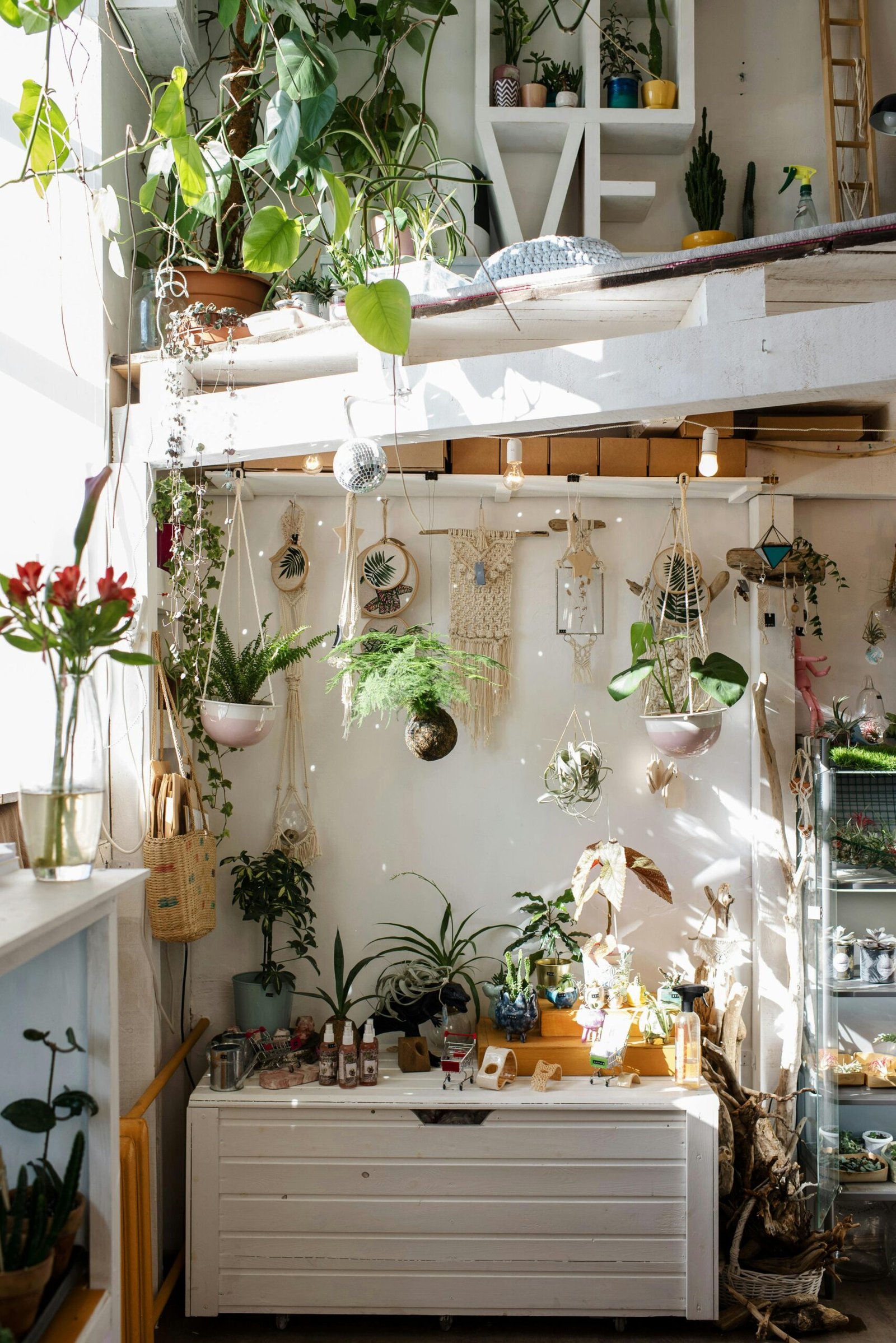 Bright and cozy loft space featuring lush green plants, stylish decor, and natural sunlight.